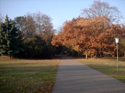 2003-11-10_Kleiner_Park